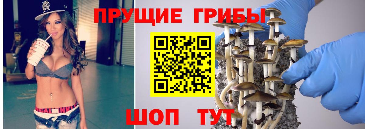 Галлюциногенные грибы прущие грибы Кропоткин